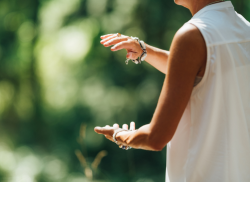 IN-PERSON: Tai Chi W